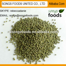 Export Green Mung Beans Specification